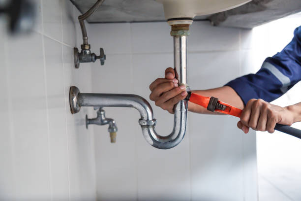 Best Best Plumbers Near Me  in La Grange Park, IL
