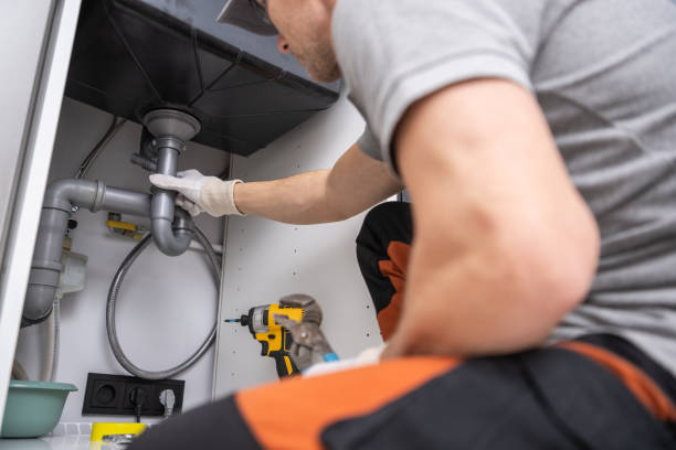 Best Plumbing Inspection Services  in La Grange Park, IL