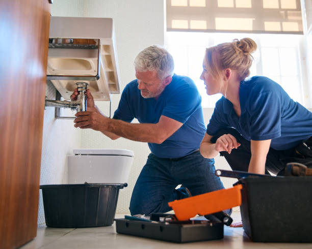 Best Local Plumber Services  in La Grange Park, IL