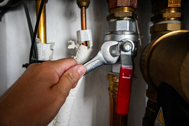 Best Sprinkler Systems  in La Grange Park, IL